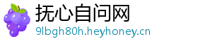 抚心自问网